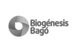 Logo Bago